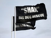 shak